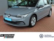 VW Golf, 1.5 TSI VIII Life, Jahr 2024 - Versmold