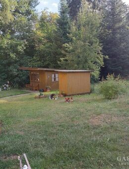 Beste Kapitalanlage, Gepflegtes Eigentum, Wohnung in ruhiger Lage in Arzberg ! - Arzberg (Bayern)