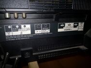 Sony OLED TV 65 Zoll - Essen