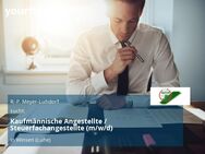 Kaufmännische Angestellte / Steuerfachangestellte (m/w/d) - Winsen (Luhe)