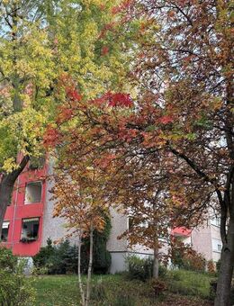 3-Zimmer-Eigentumswohnung in Ditzingen-Hirschlanden - Ditzingen