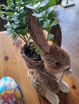 Oster- Deko. 5 x Holzfiguren. 2 x Pflanzhasen o. Blumen. Top - Wuppertal