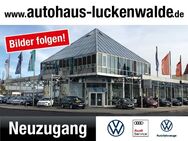 VW Tiguan, 2.0 TSI Comfortline, Jahr 2020 - Luckenwalde