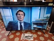 Samsung Led TV 50 Zoll smart - Kassel