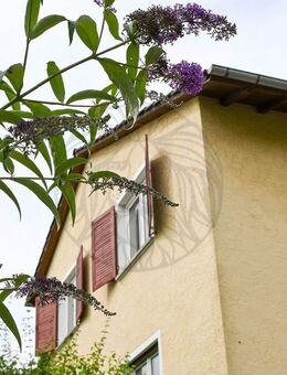 Wiesbaden: Ihr Eigenheim in Eigenheim! - Wiesbaden