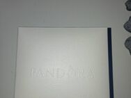 Pandora Armband inklusive charms - Herne