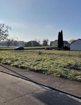 Neubau familiengerechter Doppelhäuser in Wangen - Wohnen ... mit allen Vorteilen! - Wangen