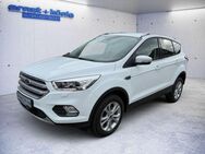 Ford Kuga 2.0 TDCi 4x4 Aut. Titanium - Freiburg (Breisgau)