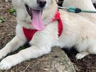 Verspielte kleine Entdeckerin EMMA♥️ - München