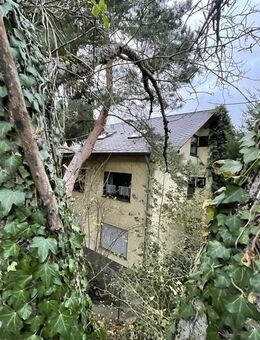 RENDITEOBJEKT! MFH! 3 WE. Mehrgenerationenhaus 3 weitere Bauplätze incl. KAPITALANLAGE! - Veldenz