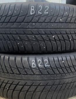 2x Winterreifen Bridgestone Blizzak LM001 (RSC) 225/40 R18 92V Dot3919 5,5mm B22 - Euskirchen Zentrum