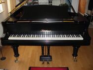 Blüthner Flügel Modell 6, Länge 190cm - Berlin