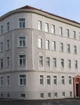 Helle Zweiraumwohnung, vollständig renoviert - Leipzig