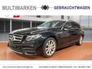 Mercedes-Benz E 220 AMG Line T d Niveau/AHK/Navi/LED/ACC/CarPl - Bickenbach (Hessen)