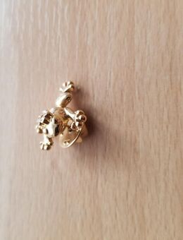 Knopfbrosche "Pierre Lang" - Bremen