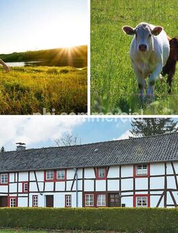 PHI AACHEN - Historisches Fachwerkhaus mit modernem Wohnkomfort! Drei renovierte Wohnungen in Konzen! - Monschau