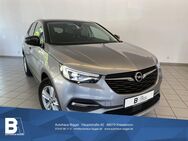 Opel Grandland X, 1.5, Jahr 2020 - Kressbronn (Bodensee)