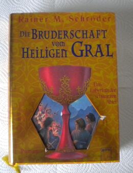 Die Bruderschaft vom Heiligen Gral-Das Labyrinth der schwarzen Abtei,Rainer M.Schröder,Arena Verlag,2007 - Linnich