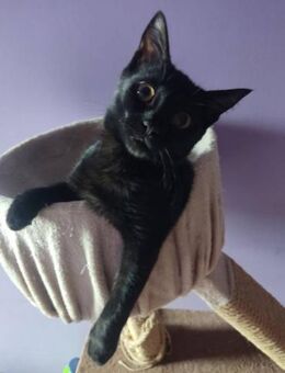 AMY ist ein kleines Wunder ♥️ - München