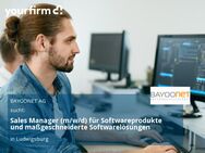 Sales Manager (m/w/d) für Softwareprodukte und maßgeschneiderte Softwarelösungen - Ludwigsburg