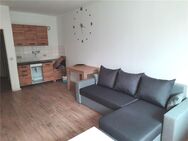 gemütliche Einraumwohnung im Erdgeschoss - Crimmitschau
