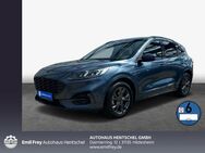 Ford Kuga 1.5 EcoBlue Aut. ST-LINE - Hildesheim