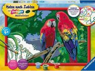 Ravensburger Malen nach Zahlen Bunte Papageien, Made in Europe
