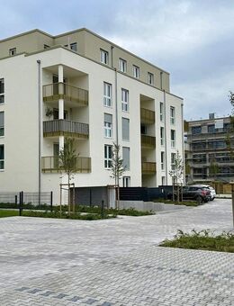 Hermann Immobilien: Wohnen im Grünen - Ihr neues Zuhause in der Lehrhöfer Heide (ETW G01) - Hanau (Brüder-Grimm-Stadt)