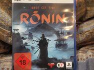 Rise of the Ronin PS5 - Erfurt
