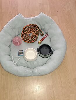 Hundebett mit Zubehör - Warendorf