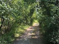 Ca. 2.000 m² Top-Obstgarten mit Hütte, Schuppen + 2 Zufahrten in Frankfurt Bergen zu verpachten - Frankfurt (Main)