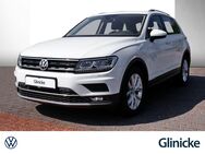 VW Tiguan, 1.5 TSI "Highline", Jahr 2020 - Bad Langensalza