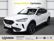 CUPRA Formentor, 2.0 TDI, Jahr 2024 - Hauneck