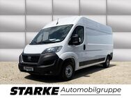 Fiat Ducato, 35 Kasten EasyPro L4H2, Jahr 2023 - Vechta