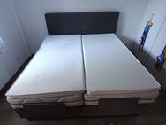 Boxspringbett 180 x 200 cm mit Topper und Matratzen - Hannoversch Münden