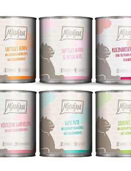 Probierpaket MjAMjAM 6 x 800 g - Mixpaket (6 Sorten)