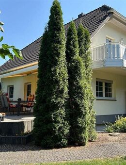 Freistehendes Einfamilienhaus mit viel Platz in idyllischer Lage - Gräfenhainichen