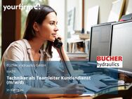 Techniker als Teamleiter Kundendienst (m/w/d) - Klettgau