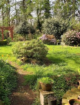 Idylisches EFH in der Wingst - Wingst