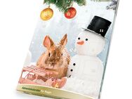 JR Farm Grainless Adventskalender für Kleintiere - 1 Stück (360 g)