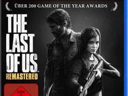 The Last of Us Remastered PlayStation 4, Software Pyramide