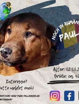 PAULA - eine von 7 auf einen Streich - Waakirchen