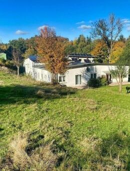 Anwesen mit vielen Möglichkeiten ! - Netzschkau