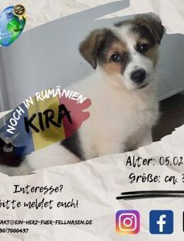 KIRA I - hast Du Platz in Deinem Herzen? - Waakirchen