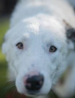 Frohnatur Atlas wartet auf dich! - München