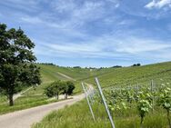 "Ruhig und sonnig wohnen, mit Blick auf die Weinberge!"Attraktive DHH in Weinstadt - Weinstadt