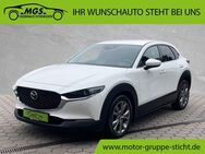 Mazda CX-30, Selection ##KLMA##, Jahr 2019 - Bayreuth