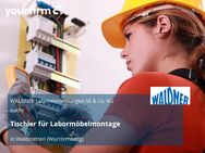 Tischler für Labormöbelmontage - Waldstetten (Baden-Württemberg)