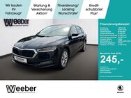 Skoda Octavia, 2.0 TSI Combi, Jahr 2023 - Herrenberg