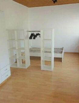Möbl. Singlewohnung mit Tageslichtbad in verkehrsgünstiger Lage - Ludwigshafen (Rhein)